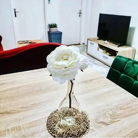 Apartman Luna Vrsi